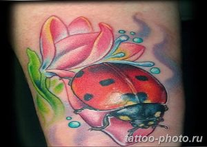 фото идея тату божья коровка 22.12.2018 №180 - photo ladybug tattool- tattoo-photo.ru