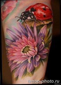 фото идея тату божья коровка 22.12.2018 №181 - photo ladybug tattool- tattoo-photo.ru