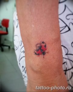 фото идея тату божья коровка 22.12.2018 №183 - photo ladybug tattool- tattoo-photo.ru