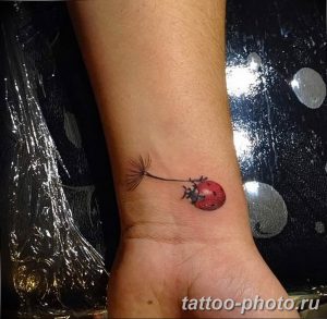 фото идея тату божья коровка 22.12.2018 №185 - photo ladybug tattool- tattoo-photo.ru