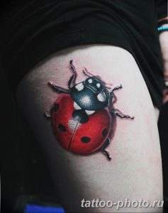 фото идея тату божья коровка 22.12.2018 №186 - photo ladybug tattool- tattoo-photo.ru