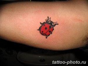 фото идея тату божья коровка 22.12.2018 №189 - photo ladybug tattool- tattoo-photo.ru