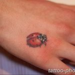 фото идея тату божья коровка 22.12.2018 №194 - photo ladybug tattool- tattoo-photo.ru