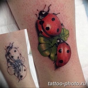 фото идея тату божья коровка 22.12.2018 №201 - photo ladybug tattool- tattoo-photo.ru