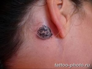 фото идея тату божья коровка 22.12.2018 №205 - photo ladybug tattool- tattoo-photo.ru