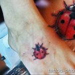 фото идея тату божья коровка 22.12.2018 №210 - photo ladybug tattool- tattoo-photo.ru