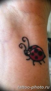 фото идея тату божья коровка 22.12.2018 №211 - photo ladybug tattool- tattoo-photo.ru