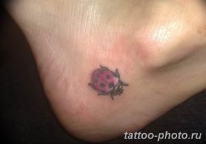 фото идея тату божья коровка 22.12.2018 №212 - photo ladybug tattool- tattoo-photo.ru