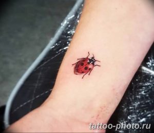 фото идея тату божья коровка 22.12.2018 №214 - photo ladybug tattool- tattoo-photo.ru
