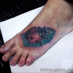 фото идея тату божья коровка 22.12.2018 №215 - photo ladybug tattool- tattoo-photo.ru