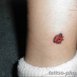 фото идея тату божья коровка 22.12.2018 №220 - photo ladybug tattool- tattoo-photo.ru