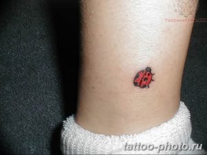 фото идея тату божья коровка 22.12.2018 №220 - photo ladybug tattool- tattoo-photo.ru