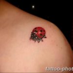 фото идея тату божья коровка 22.12.2018 №221 - photo ladybug tattool- tattoo-photo.ru