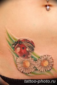 фото идея тату божья коровка 22.12.2018 №222 - photo ladybug tattool- tattoo-photo.ru