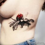 фото идея тату божья коровка 22.12.2018 №224 - photo ladybug tattool- tattoo-photo.ru