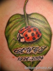 фото идея тату божья коровка 22.12.2018 №228 - photo ladybug tattool- tattoo-photo.ru