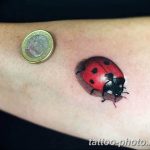фото идея тату божья коровка 22.12.2018 №229 - photo ladybug tattool- tattoo-photo.ru