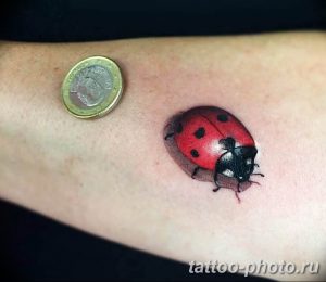 фото идея тату божья коровка 22.12.2018 №229 - photo ladybug tattool- tattoo-photo.ru