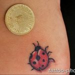 фото идея тату божья коровка 22.12.2018 №231 - photo ladybug tattool- tattoo-photo.ru