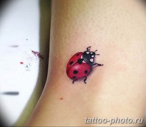 фото идея тату божья коровка 22.12.2018 №235 - photo ladybug tattool- tattoo-photo.ru
