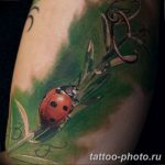 фото идея тату божья коровка 22.12.2018 №239 - photo ladybug tattool- tattoo-photo.ru