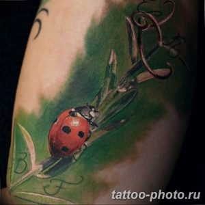 фото идея тату божья коровка 22.12.2018 №239 - photo ladybug tattool- tattoo-photo.ru