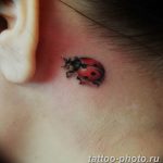 фото идея тату божья коровка 22.12.2018 №241 - photo ladybug tattool- tattoo-photo.ru