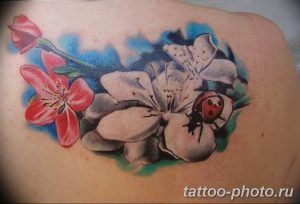 фото идея тату божья коровка 22.12.2018 №242 - photo ladybug tattool- tattoo-photo.ru