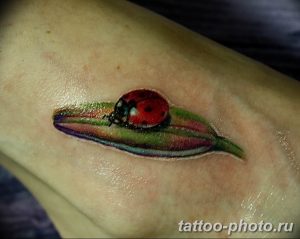 фото идея тату божья коровка 22.12.2018 №244 - photo ladybug tattool- tattoo-photo.ru