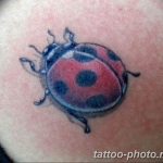 фото идея тату божья коровка 22.12.2018 №246 - photo ladybug tattool- tattoo-photo.ru