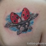 фото идея тату божья коровка 22.12.2018 №248 - photo ladybug tattool- tattoo-photo.ru