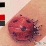фото идея тату божья коровка 22.12.2018 №250 - photo ladybug tattool- tattoo-photo.ru
