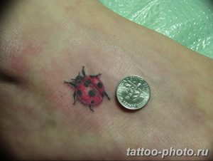 фото идея тату божья коровка 22.12.2018 №253 - photo ladybug tattool- tattoo-photo.ru