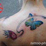 фото идея тату божья коровка 22.12.2018 №256 - photo ladybug tattool- tattoo-photo.ru