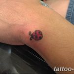 фото идея тату божья коровка 22.12.2018 №260 - photo ladybug tattool- tattoo-photo.ru