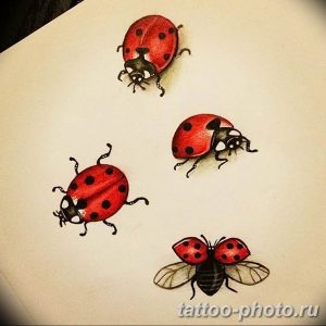 фото идея тату божья коровка 22.12.2018 №263 - photo ladybug tattool- tattoo-photo.ru