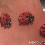 фото идея тату божья коровка 22.12.2018 №265 - photo ladybug tattool- tattoo-photo.ru