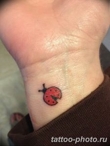 фото идея тату божья коровка 22.12.2018 №266 - photo ladybug tattool- tattoo-photo.ru