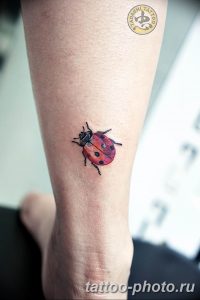 фото идея тату божья коровка 22.12.2018 №267 - photo ladybug tattool- tattoo-photo.ru