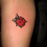 фото идея тату божья коровка 22.12.2018 №269 - photo ladybug tattool- tattoo-photo.ru
