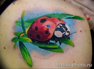 фото идея тату божья коровка 22.12.2018 №273 - photo ladybug tattool- tattoo-photo.ru