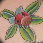 фото идея тату божья коровка 22.12.2018 №274 - photo ladybug tattool- tattoo-photo.ru
