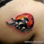 фото идея тату божья коровка 22.12.2018 №279 - photo ladybug tattool- tattoo-photo.ru