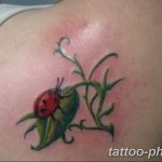 фото идея тату божья коровка 22.12.2018 №281 - photo ladybug tattool- tattoo-photo.ru