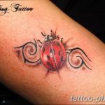 фото идея тату божья коровка 22.12.2018 №282 - photo ladybug tattool- tattoo-photo.ru