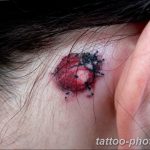 фото идея тату божья коровка 22.12.2018 №283 - photo ladybug tattool- tattoo-photo.ru