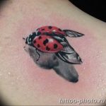 фото идея тату божья коровка 22.12.2018 №285 - photo ladybug tattool- tattoo-photo.ru