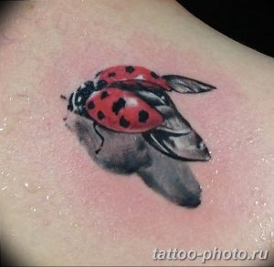 фото идея тату божья коровка 22.12.2018 №285 - photo ladybug tattool- tattoo-photo.ru