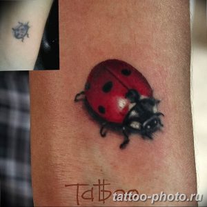 фото идея тату божья коровка 22.12.2018 №287 - photo ladybug tattool- tattoo-photo.ru