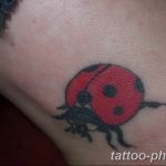 фото идея тату божья коровка 22.12.2018 №289 - photo ladybug tattool- tattoo-photo.ru